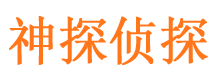 坊子侦探公司